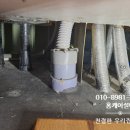 수원 권선구 오목천동 남광 하우스토리 세대 주방...시원 해결 냄새나는 배수통 클린배수통 깔끔 교체 후기