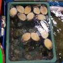 고흥녹동회타운 이미지