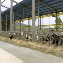 금와목장 이미지