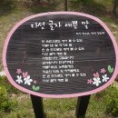 금왕읍 명품가로숲길 이미지