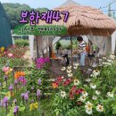 47 | 의정부 캠핑식당 보한재47 서울근교 애견동반 바베큐 맛집 솔직 후기