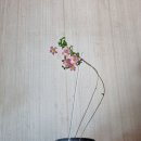 라인헤어 이미지