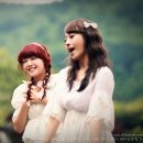 비디오랜드 이미지