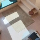 나무늘보,요정 이미지