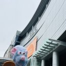 호텔씨엘 | 간절곶 울산 울주 가볼만한곳 추석연휴 국내여행 추천 - 진하해수욕장 여행1일차 [우여곡절 여행기]