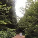 제주길라임민박 이미지