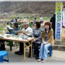 음수동 Daum카페
