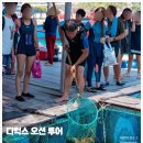 오션투어 이미지