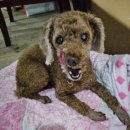 문영규농장 이미지