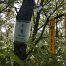 천지봉농장 이미지