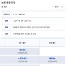 2학기(3월~6월) / 피아노 교실(10시) | 아빠의 복직이야기, 아들의 성장이야기.