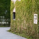 분당-79 이미지