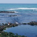 바닷가돌빌레 이미지