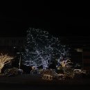 12月 일상 : 부산에서 맞이한 겨울 (feat. 2023)