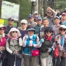 성주산&amp;냉풍욕장(보령시) 이미지