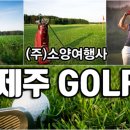 소양여행사