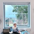 애월볕 | 7개월 아기랑 제주도 한달살기 숙소 <애월안> 장단점 솔직후기 (범퍼침대, 아기욕조, 유아의자, 아기...