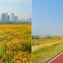 금강 자전거길 이미지