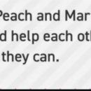 공주깃털 이미지