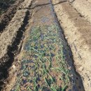 이전농장 이미지