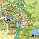 희망꽃식물원 | [경기 광주] 율봄식물원_서울 가까운곳에 수국수국