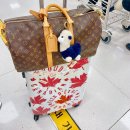 청주공항 주차장 주차요금 버스노선 편의시설 청주 - 제주 국내선 이용후기