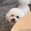 소품 뜨개질 배우기 이미지