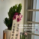 오전꽃농원 이미지