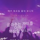 ★11월5~11월12일 보니따 일정★ 이미지