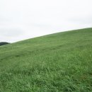 서산농장 이미지