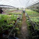 승지농장 이미지