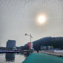 리조트등대낚시