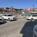 모나용평 알펜시아 근처 다이소 스키장갑 구매후기