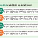 [단독] 9호선 동작역·구반포역 휠체어 승객에 '전용 콜택시' 서비스 이미지