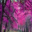 여행 일본어 중급 이미지