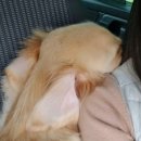 제토산업 네이버블로그