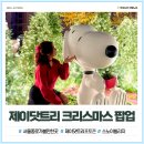 서울 서촌 가볼만한곳 제이닷트리 크리스마스 팝업 예약 후기