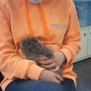 제이제이캣 이미지