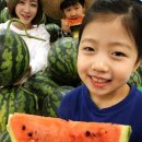 수박