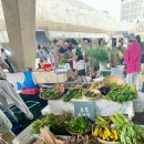 현강농장 이미지