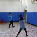 강남스포츠문화센터 대체육관 이미지