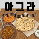 아그라 티스토리