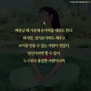 브이(V) 이미지