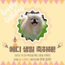 찰스앤에디 이미지