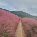 향단농장 이미지