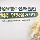 만성요통의 새로운 해석｜Spinal Stabilization 관점에서 본 척추 안정성 이미지