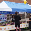 의성진오계절꽃차 이미지