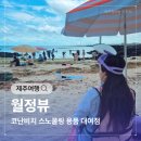 월정 | 제주도 코난비치 해변 스노쿨링 파라솔 대여 샤워 월정뷰게스트하우스 추천 후기