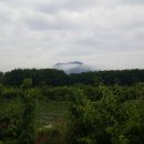 길 농장 이미지