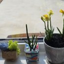 보전축산 | 김제 시골 집짓기55. 농촌주택개량사업 대출 실행 (최종대출후기)